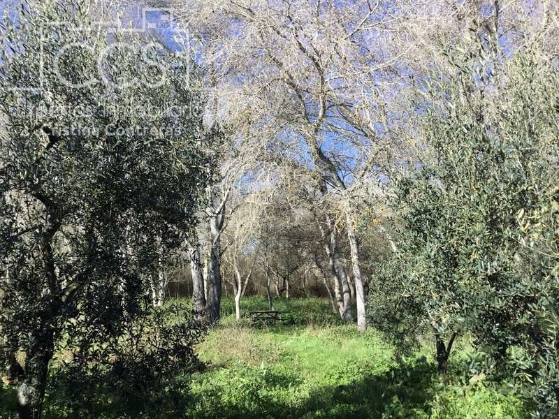 7 chambre Finca/Maison de Campagne à vendre à Pilas avec piscine - 305 000 € (Ref: 7356622)