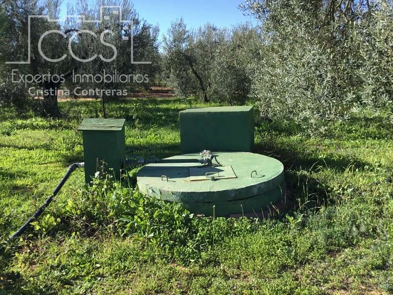 7 chambre Finca/Maison de Campagne à vendre à Pilas avec piscine - 305 000 € (Ref: 7356622)