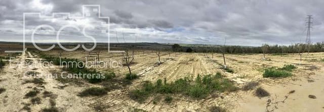 Terrain à Bâtir à vendre à Huévar - 864 000 € (Ref: 7412107)