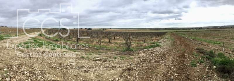 Bouwgrond te koop in Huevar - € 864.000 (Ref: 7412107)