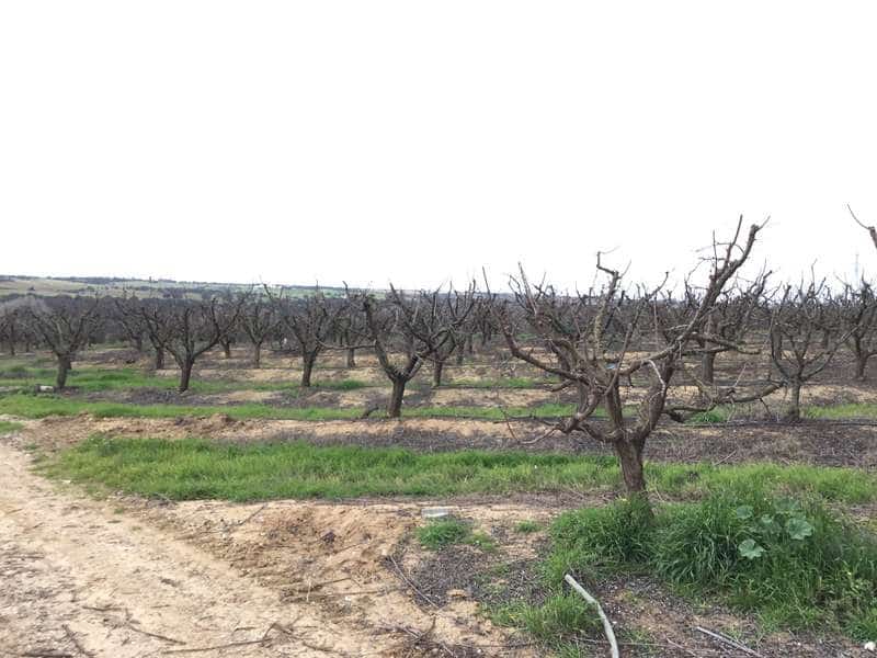 Bouwgrond te koop in Huevar - € 864.000 (Ref: 7412107)