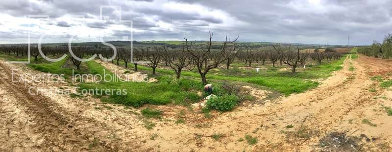 Bouwgrond te koop in Huevar - € 864.000 (Ref: 7412107)