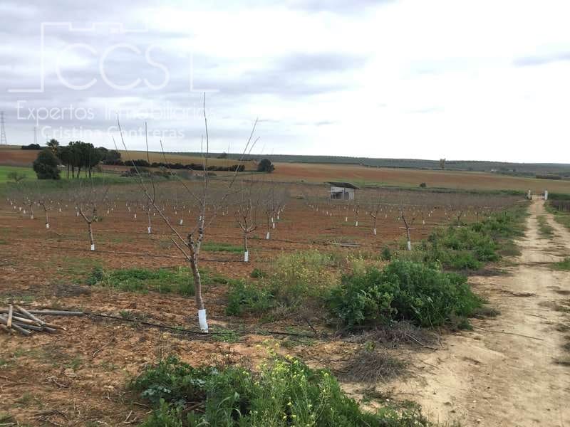 Bouwgrond te koop in Huevar - € 864.000 (Ref: 7412107)