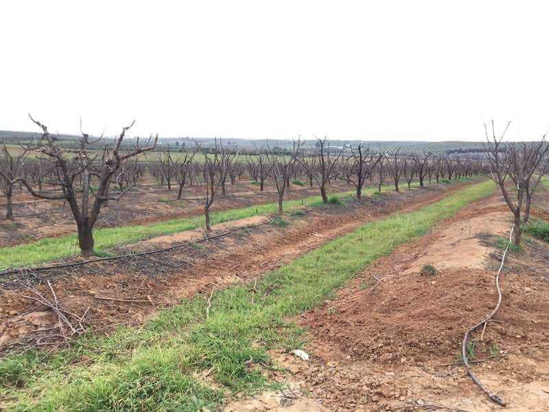 Bouwgrond te koop in Huevar - € 864.000 (Ref: 7412107)