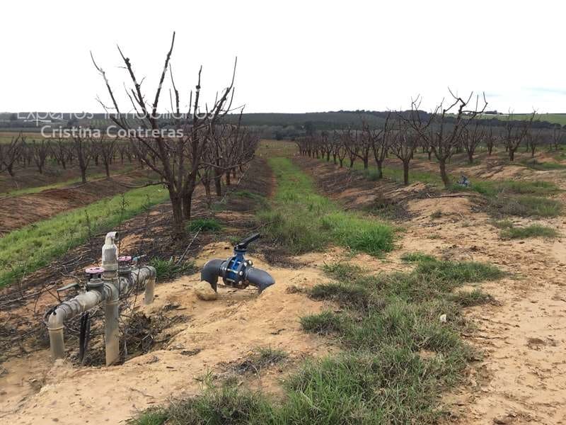 Bouwgrond te koop in Huevar - € 864.000 (Ref: 7412107)