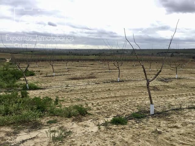 Terrain à Bâtir à vendre à Huévar - 864 000 € (Ref: 7412107)