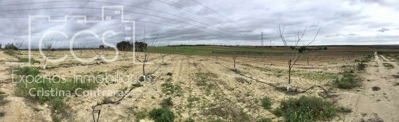 Bouwgrond te koop in Huevar - € 864.000 (Ref: 7412107)