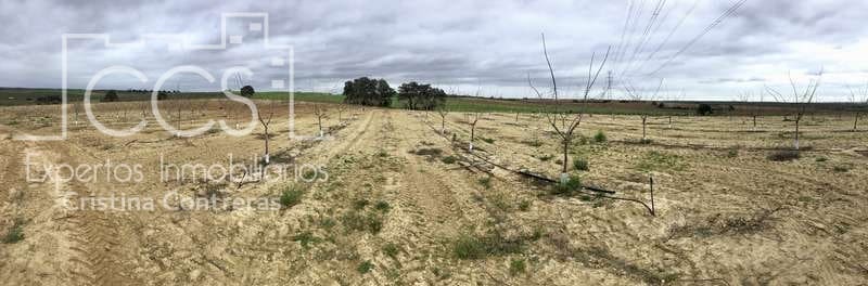 Bouwgrond te koop in Huevar - € 864.000 (Ref: 7412107)