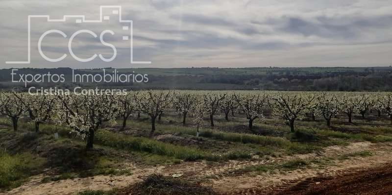 Bouwgrond te koop in Huevar - € 864.000 (Ref: 7412107)