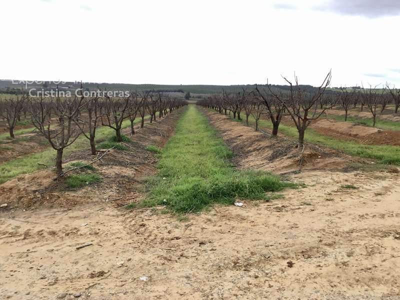 Bouwgrond te koop in Huevar - € 864.000 (Ref: 7412107)