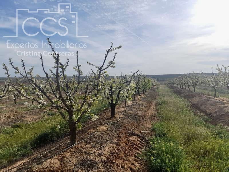 Bouwgrond te koop in Huevar - € 864.000 (Ref: 7412107)