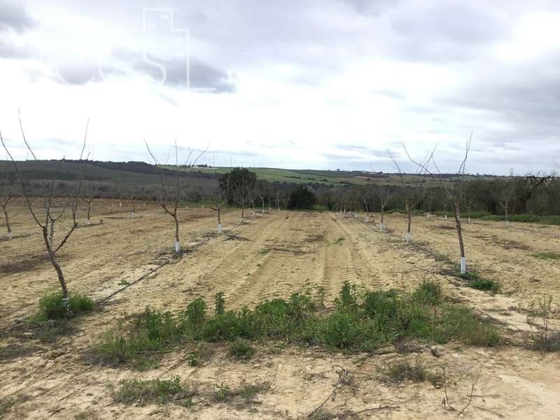 Bouwgrond te koop in Huevar - € 864.000 (Ref: 7412107)