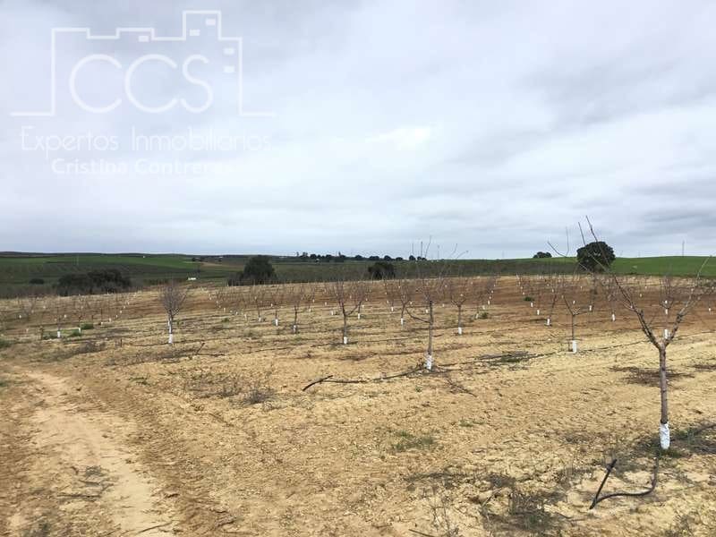 Bouwgrond te koop in Huevar - € 864.000 (Ref: 7412107)