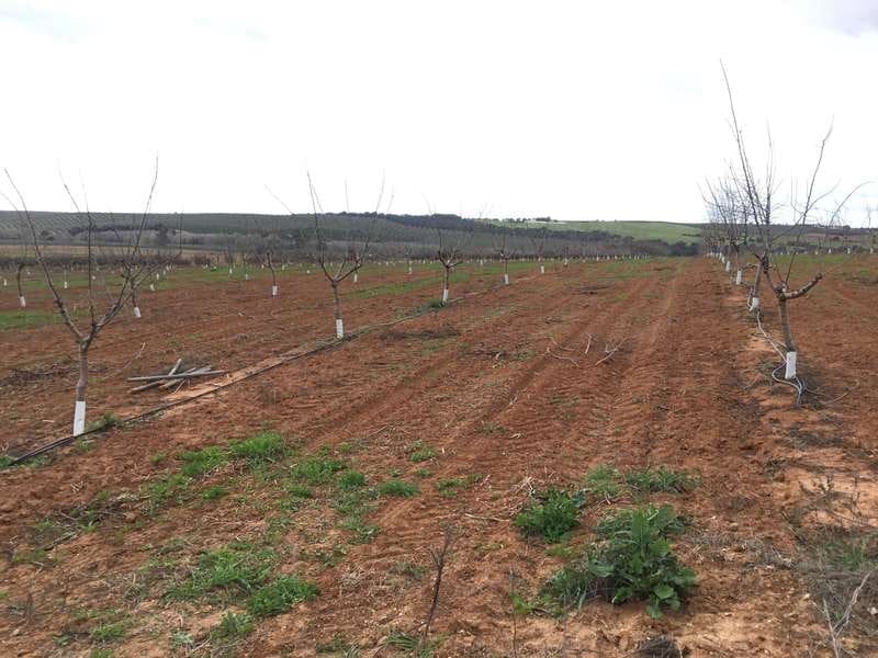 Bouwgrond te koop in Huevar - € 864.000 (Ref: 7412107)