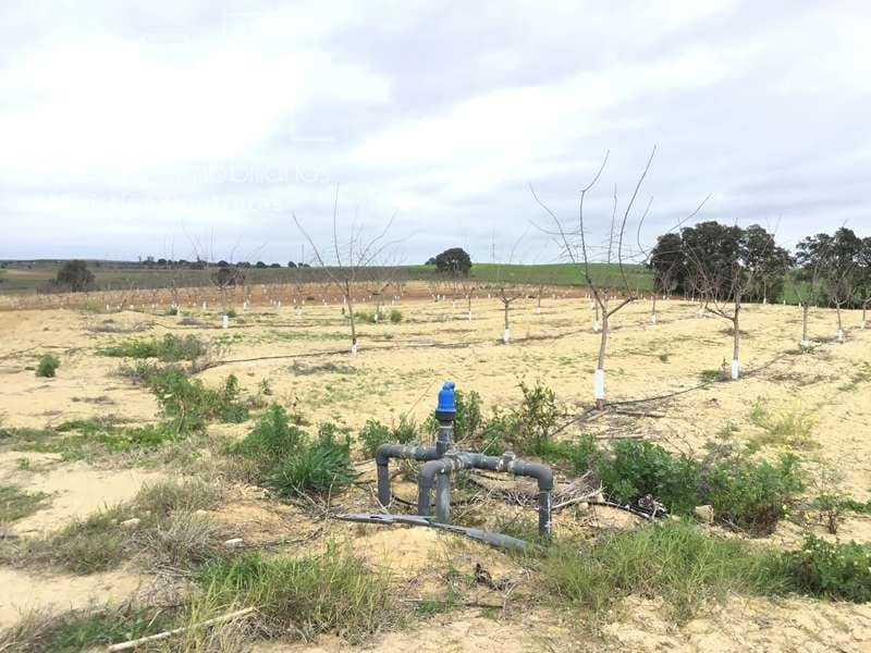 Bouwgrond te koop in Huevar - € 864.000 (Ref: 7412107)