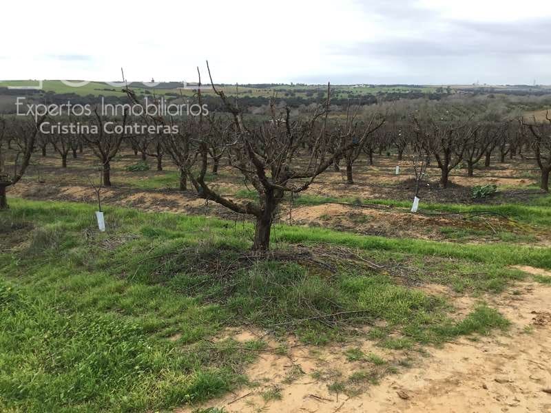 Bouwgrond te koop in Huevar - € 864.000 (Ref: 7412107)