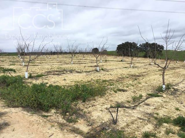 Terrain à Bâtir à vendre à Huévar - 864 000 € (Ref: 7412107)