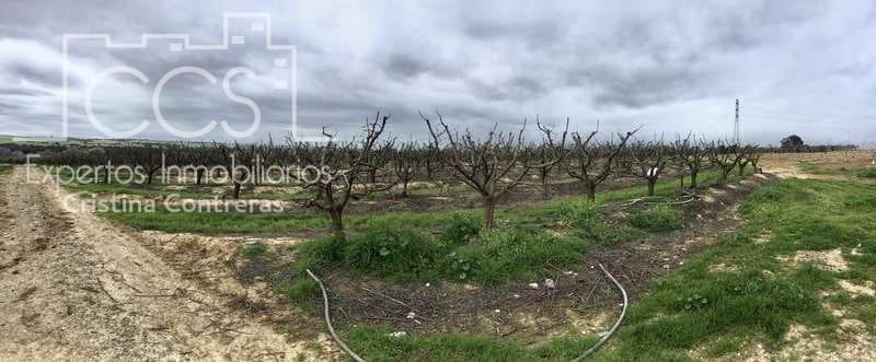 Bouwgrond te koop in Huevar - € 864.000 (Ref: 7412107)