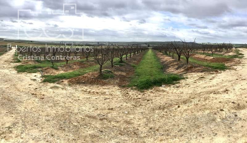 Bouwgrond te koop in Huevar - € 864.000 (Ref: 7412107)