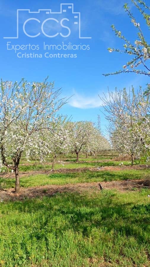 Building Plot for sale in Huevar - € 864,000 (Ref: 7412107)