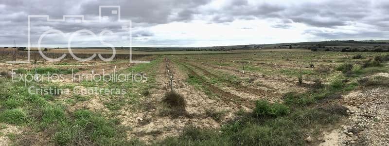 Building Plot for sale in Huevar - € 864,000 (Ref: 7412107)