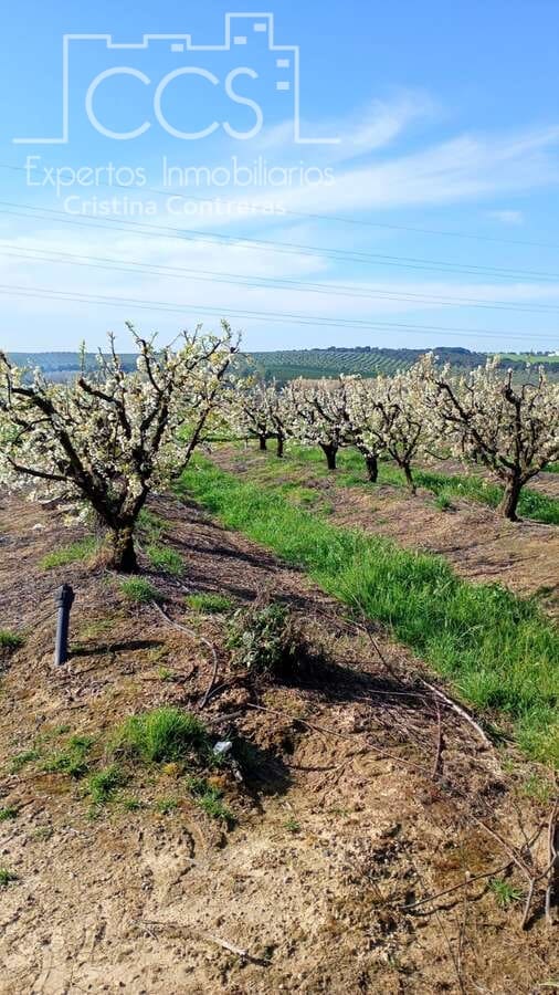 Tontti myytävänä paikassa Huevar - 864 000 € (Ref: 7412107)