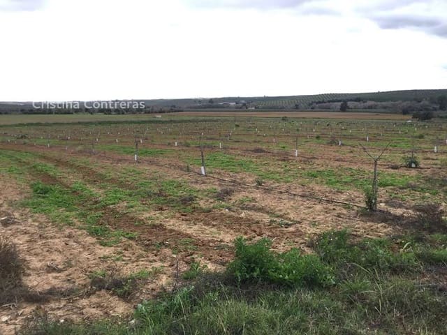 Bouwgrond te koop in Huévar - € 864.000 (Ref: 7412107)