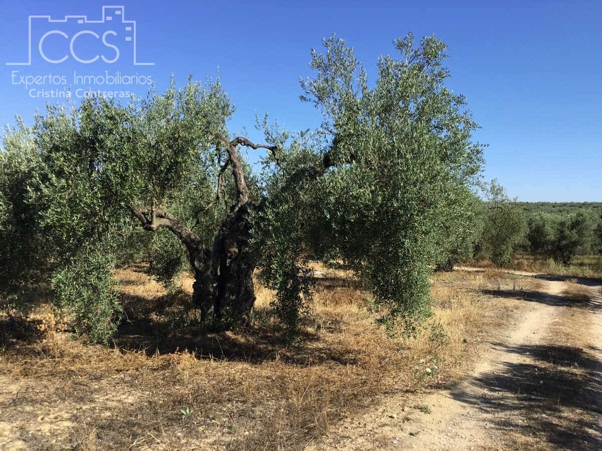 Byggegrund til salg i Almonte - € 45.000 (Ref: 7574520)