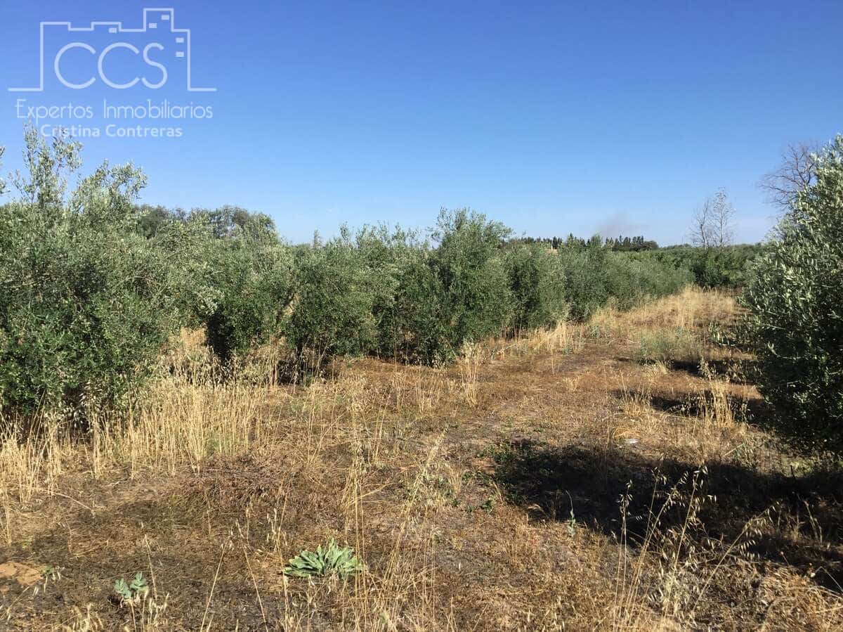 Byggegrund til salg i Almonte - € 45.000 (Ref: 7574520)