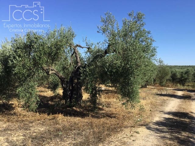 Building Plot for sale in Almonte - € 45,000 (Ref: 7574520)