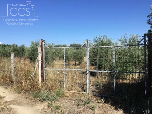 Building Plot for sale in Almonte - € 45,000 (Ref: 7574520)