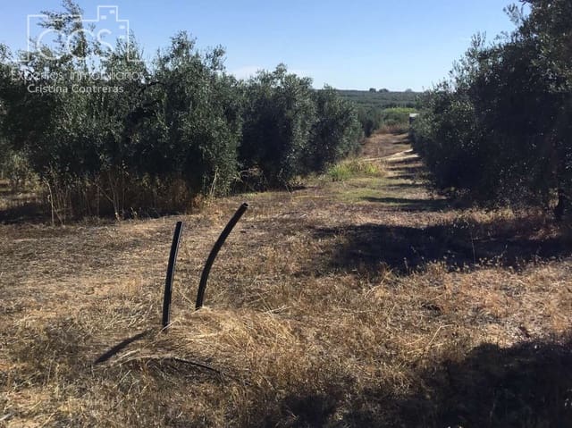 Building Plot for sale in Almonte - € 45,000 (Ref: 7574520)