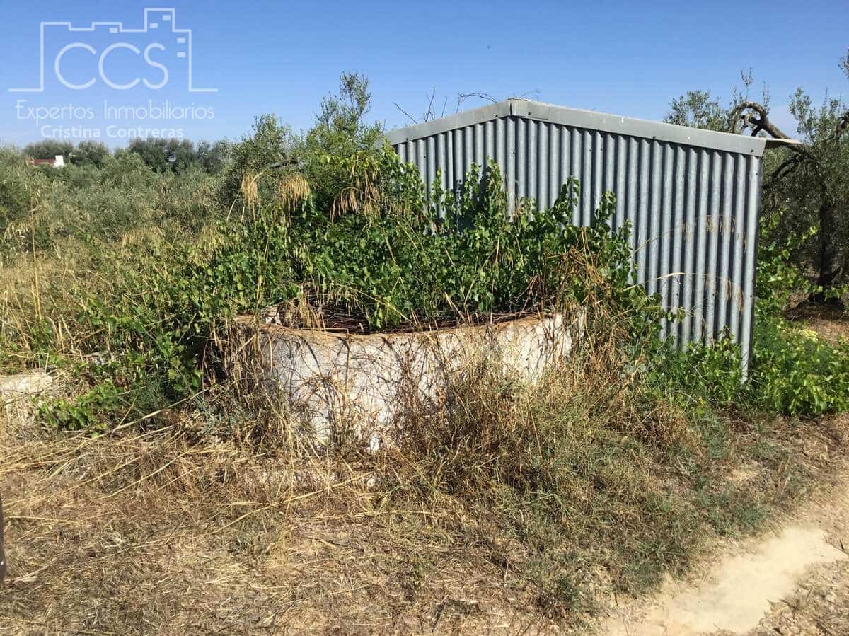 Byggegrund til salg i Almonte - € 45.000 (Ref: 7574520)