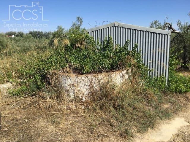 Building Plot for sale in Almonte - € 45,000 (Ref: 7574520)