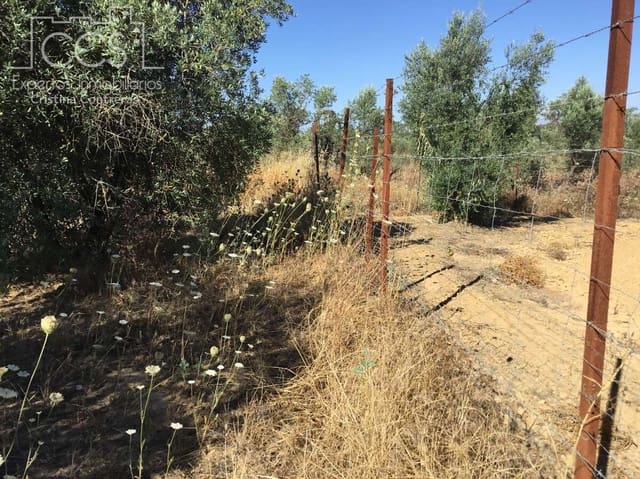 Building Plot for sale in Almonte - € 45,000 (Ref: 7574520)