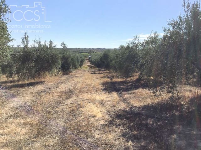 Area Edificabile in vendita in Almonte - 45.000 € (Rif: 7574520)
