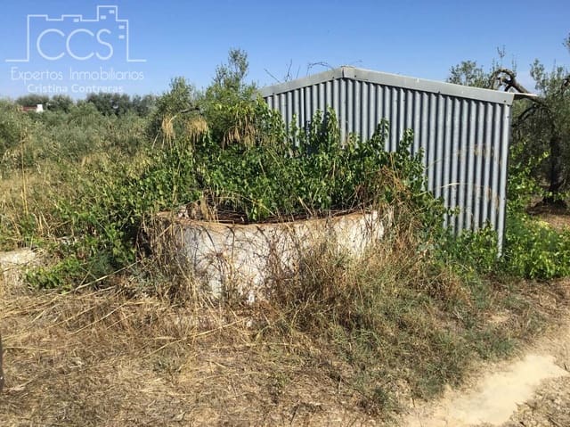 Area Edificabile in vendita in Almonte - 45.000 € (Rif: 7574520)