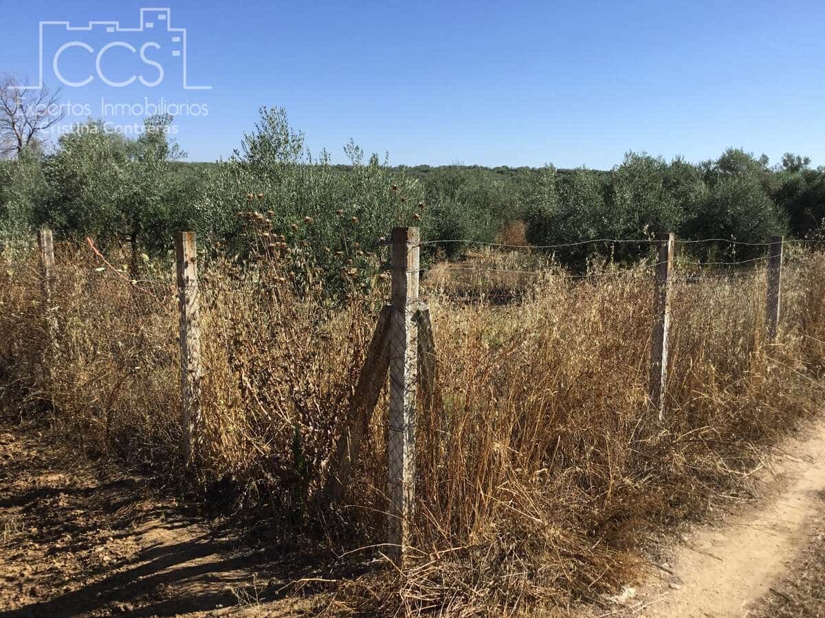 Bauplatz zu verkaufen in Almonte - 45.000 € (Ref: 7574520)