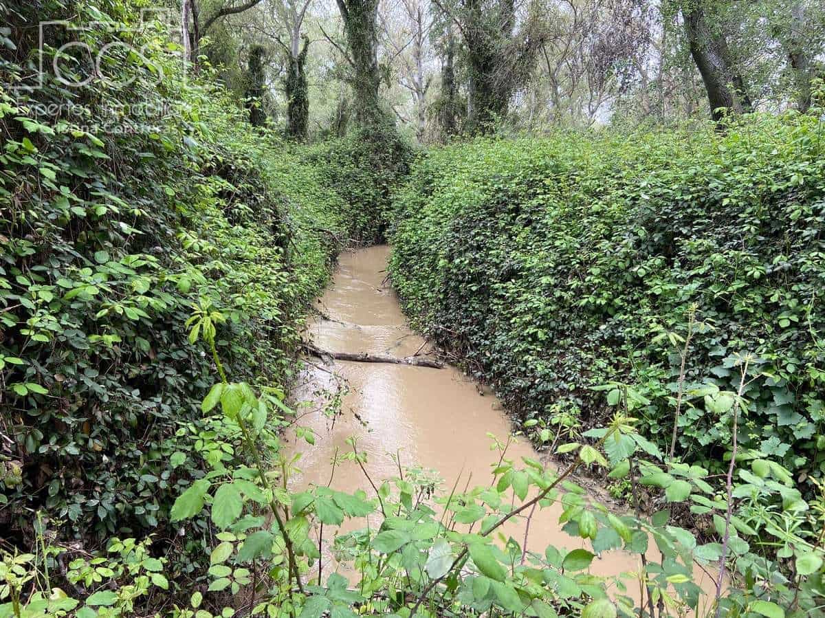 1 soveværelse Finca/Landehus til salg i Huevar - € 220.000 (Ref: 7716982)