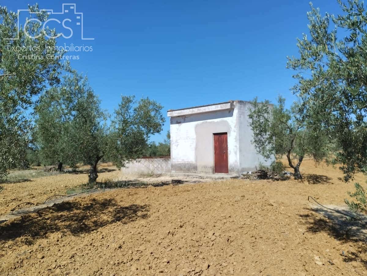 Byggetomt til salgs i Almonte - € 300 000 (Ref: 7749186)