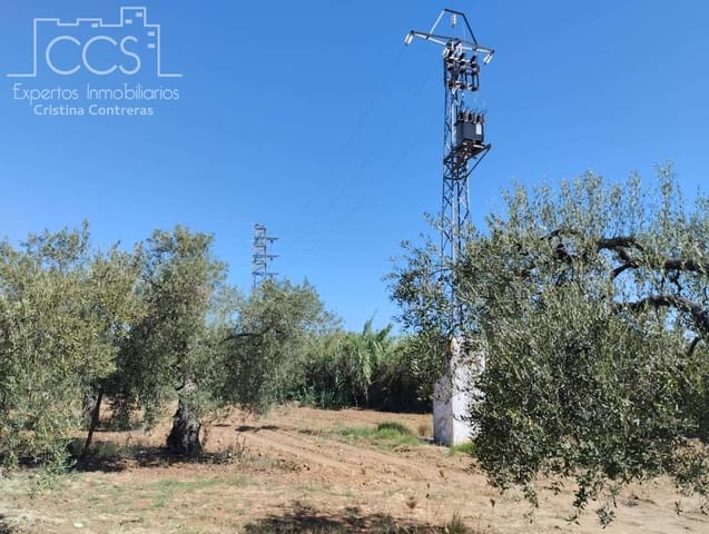 Building Plot for sale in Almonte - € 300,000 (Ref: 7749186)