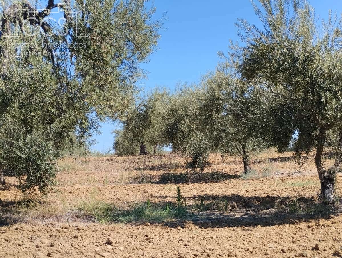 Byggetomt til salgs i Almonte - € 300 000 (Ref: 7749186)