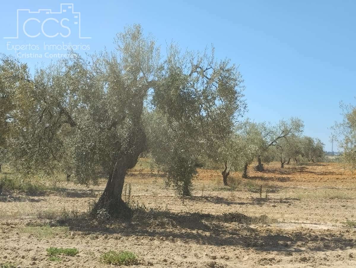 Byggetomt til salgs i Almonte - € 300 000 (Ref: 7749186)