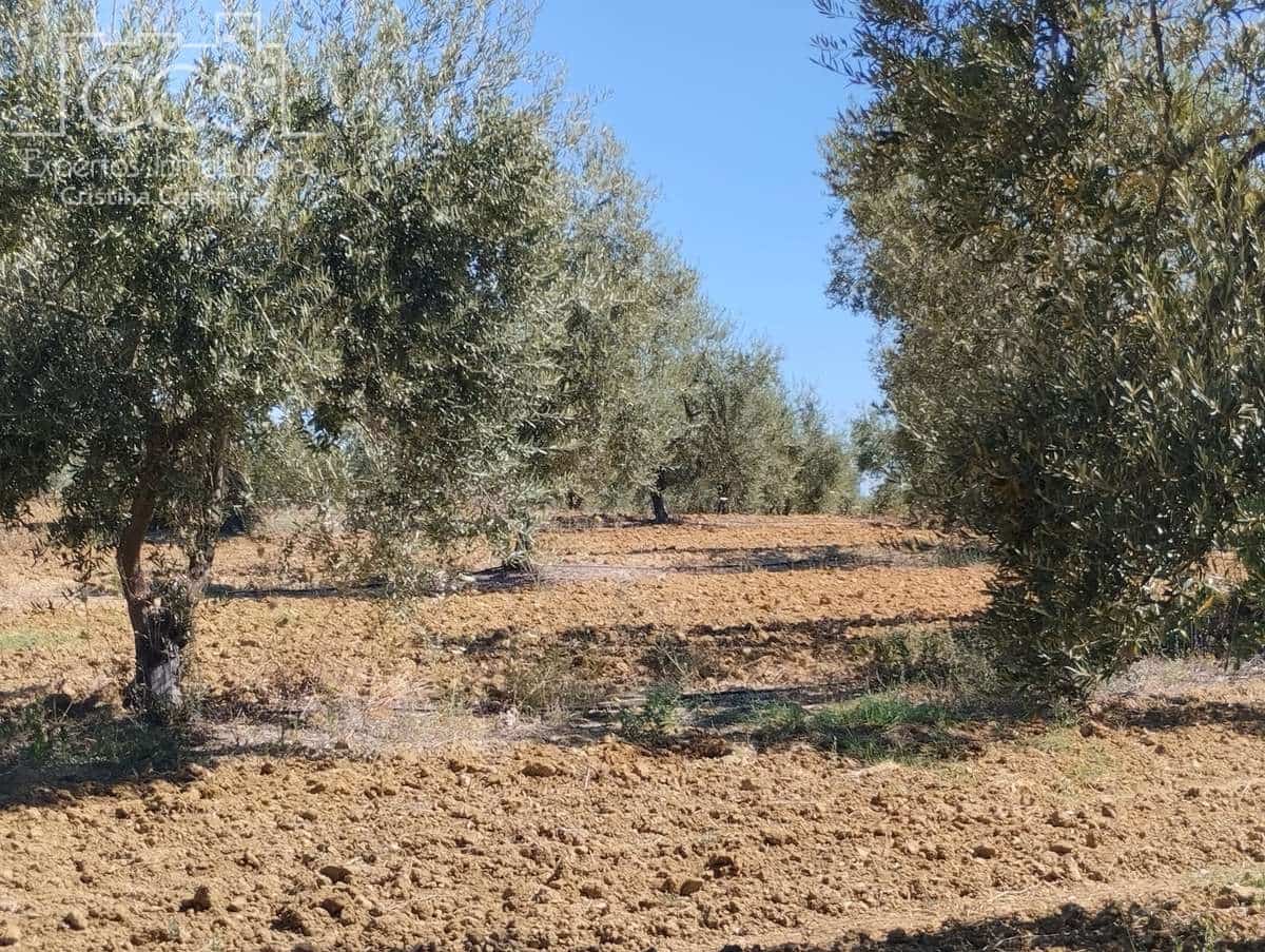 Byggetomt til salgs i Almonte - € 300 000 (Ref: 7749186)