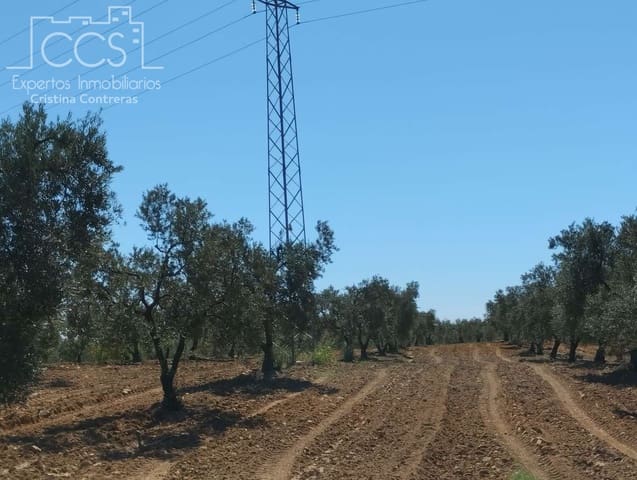 Building Plot for sale in Almonte - € 300,000 (Ref: 7749186)