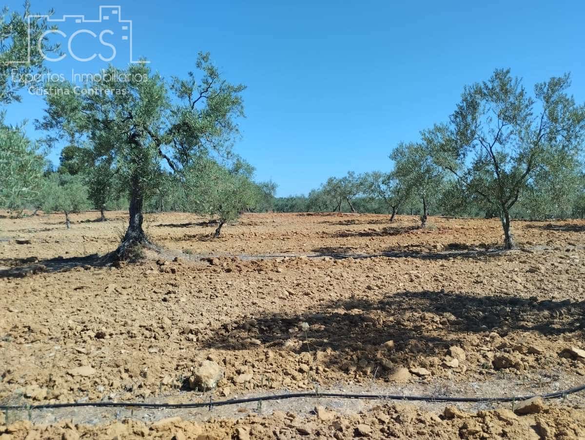 Byggetomt til salgs i Almonte - € 300 000 (Ref: 7749186)