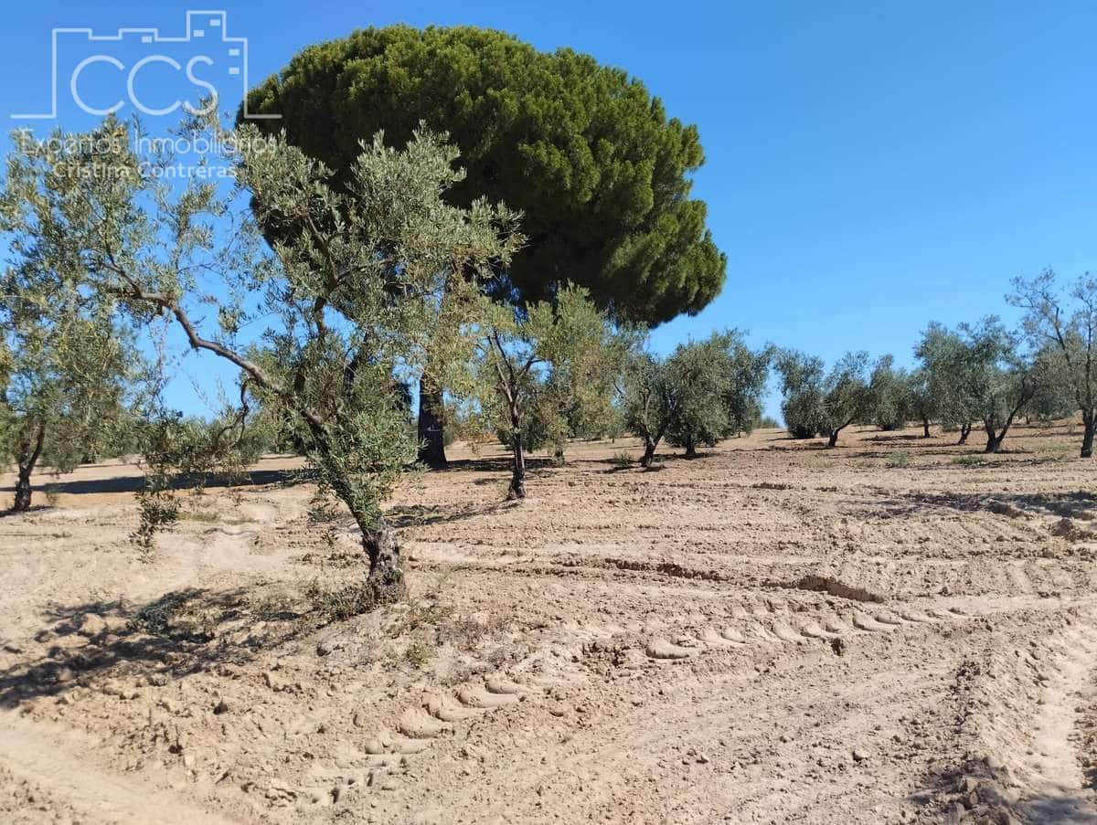 Byggetomt til salgs i Almonte - € 300 000 (Ref: 7749186)