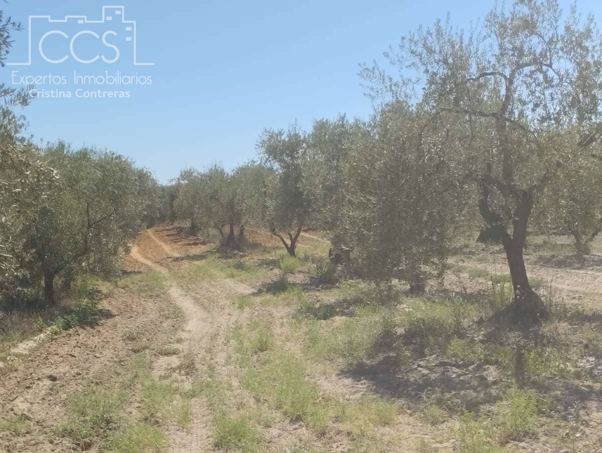 Byggetomt til salgs i Almonte - € 300 000 (Ref: 7749186)