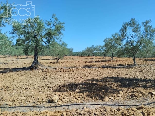 Building Plot for sale in Almonte - € 300,000 (Ref: 7749186)