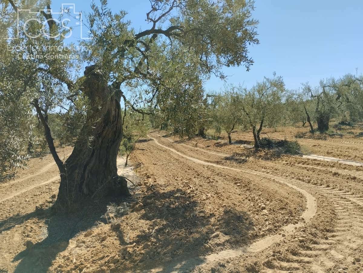 Byggetomt til salgs i Almonte - € 300 000 (Ref: 7749186)